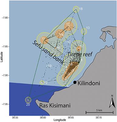 No Place Like Home? High Residency and Predictable Seasonal Movement of Whale Sharks Off Tanzania